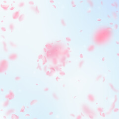 Fototapeta na wymiar Sakura petals falling down. Romantic pink flowers explosion. Flying petals on blue sky square background. Love, romance concept. Comely wedding invitation.