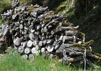 pile of firewood