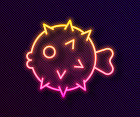 Glowing neon line Fish hedgehog icon isolated on black background. Vector