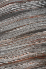 Obraz premium Stone abstract natural background of rock with strange texture on the beach