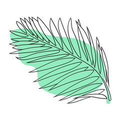 Palm leaf vector illustration. Tropical plant. Botanical art. Minimalist palm leaf. Hand-drawn exotic leaves. Outline palm leaf. Modern style. Floral illustration.