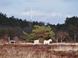 Küstenheide Wanderweg in Cuxhaven