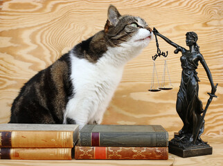 Die Rechte der Tiere. Eine Katze und eine Justitia Figur mit Büchern auf einem Holzuntergrund 
