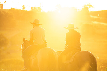 Cavalos crioulos no pôr do sol