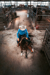 Cowboy rides a horse through the stockyard of a livestock auction. In the saddle and ready to show...