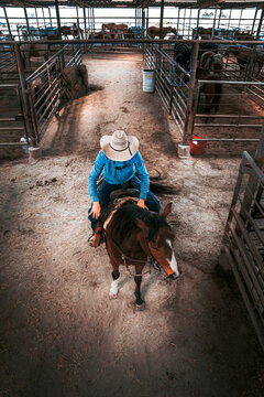 Cowboy rides a horse through the stockyard of a livestock auction. In the saddle and ready to show his horse to bidders.
