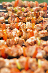 Pork Skewers On The Grill