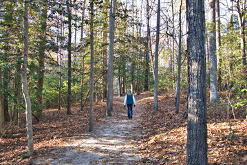 Fototapeta premium Woman enjoying the fall colors on a hike in the mountains
