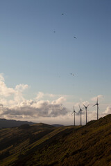 Serra do Cume, ilha Terceira