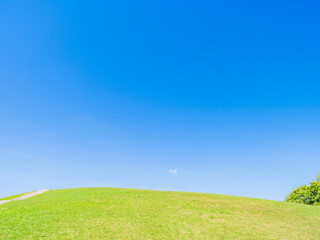 青空と新緑の丘