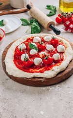 The ingredients for homemade Margherita pizza on stone background.