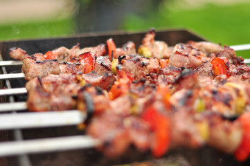 Tasty oriental shashlik skewer cooking over an open fire