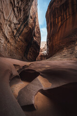 Portrait of Leprechaun Canyon in Southern Utah. Sandstone walls and sandy floor, with red rock on all sides. Carved out floor from various occurrences of flash flood