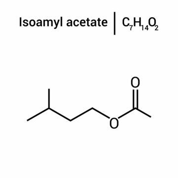 chemical structure of Isoamyl acetate (C4H14O2)