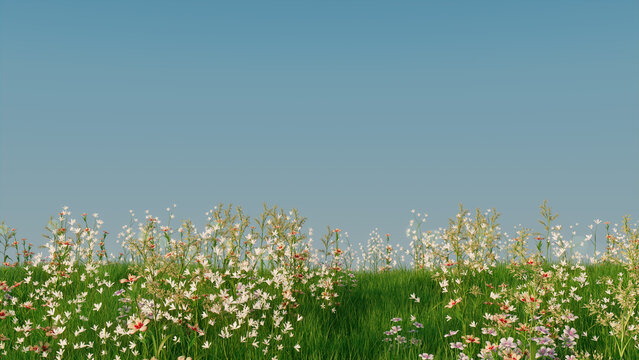Spring Meadow with Long Grass, Wild Flowers and clear blue sky. Natural Wallpaper with space for copy.