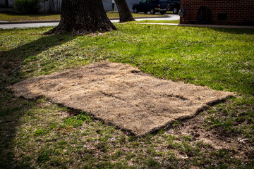 Brown square of sod laid out on skimpy yard in residential area