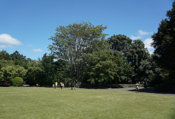 Fototapeta na wymiar The View Inside Hamilton Garden in Hamilton, New Zealand.