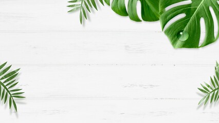 トロピカル夏のモンステラボタニカル背景 © hikari_stock