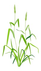 Fototapeta na wymiar Grass with leaves, weed with lush foliage vector