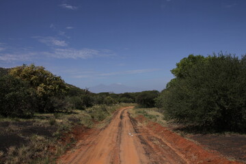 この先に見えるはキリマンジャロ