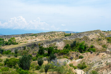 Valle de los Xilópalos