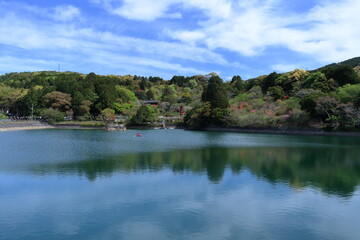 Fototapeta na wymiar 弁天池からツツジを眺める　春　（高知県　安芸市　内原野公園）
