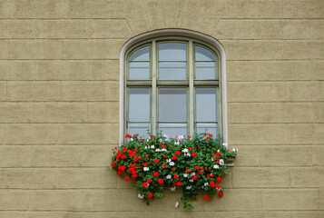 Fototapeta na wymiar ローテンブルク・窓辺の花
