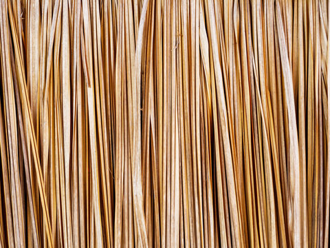 Dry brown vetiver grass  texture background. Concept of nature background, retro wallpaper, vintage wall rural style.