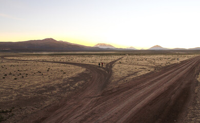 Fototapeta na wymiar Estrada de chão, cortando o deserto do altiplano andino na Bolivia