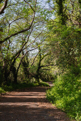 愛媛県 松山市 興居島 瀬戸内海の島