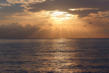 set of pictures of the beauty of nature in the morning