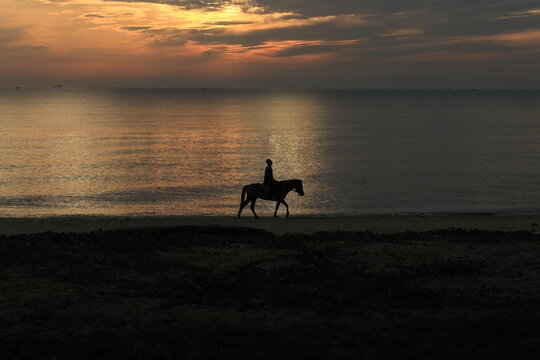 photo set, silhouette, man riding a horse