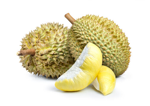durian isolated on white background