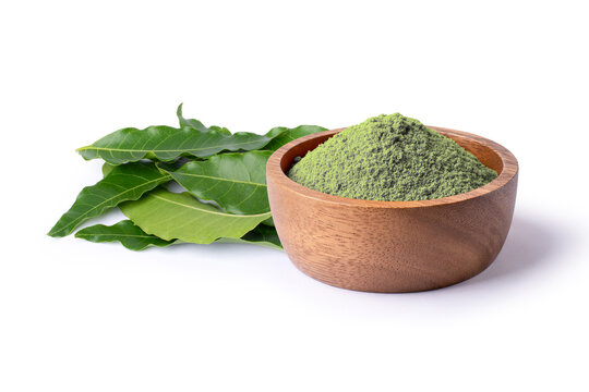 Dried neem leaf powder in wooden bowl and fresh neem leaves isolated on white background.