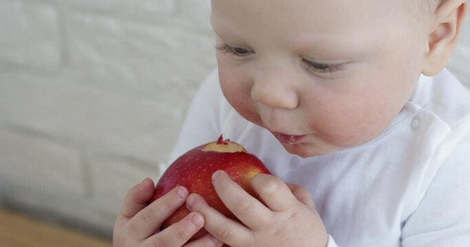 Baby boy with chubby cheeks enjoys eating fresh apple on blurred background. Hungry kid holds big fruit with hands sitting against white brick wall closeup
