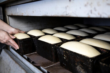 The dough laid for the bread is suitable and ready for baking.