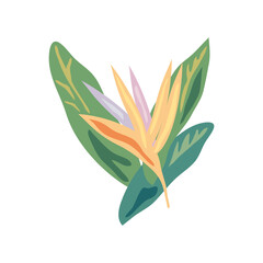 exotic flower nature