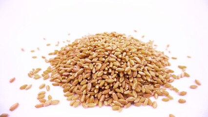 Falling wheat seeds grains, raw food ingredients, agricultural product