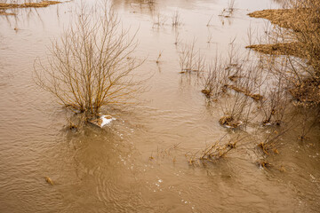 inundation , flood of water in spring , overflow drowning everything: bushes , trees ,coasts , pillars and columns , natural disaster