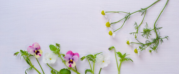 spring flowers on the white board.
edible flowers on a white background.
