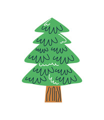 pine tree nature