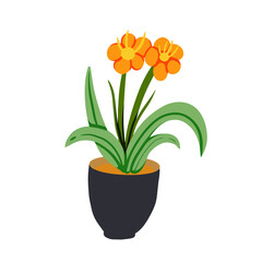 House plants and flowers in pots