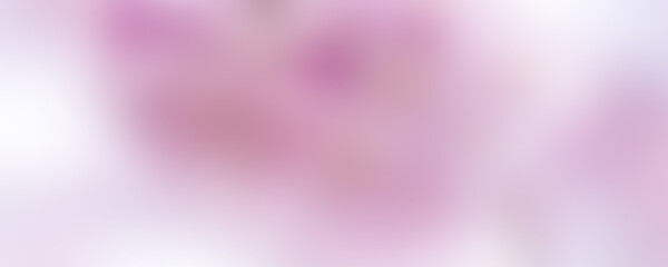 Pink white flower blur background
