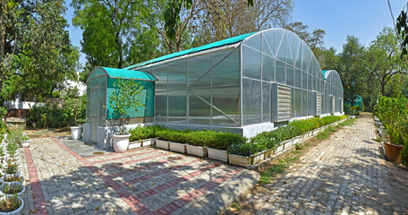 Green house for plant growing in New Delhi India.