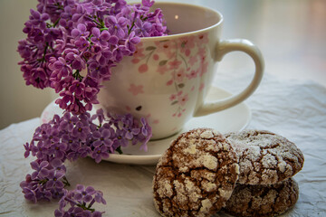 Romantic and artistic still life  porcelain cup with  lilac and chocolate biscuits