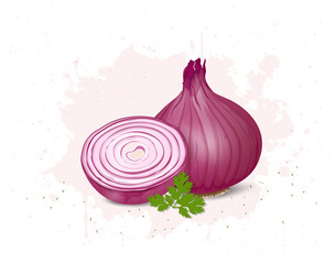 Onion vector illustration with onion green leaves - obrazy, fototapety, plakaty