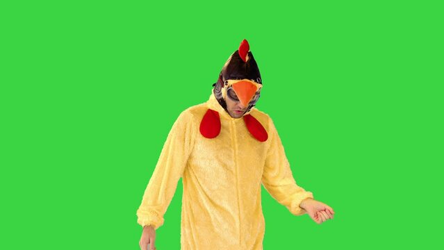 Young cheerful artist in chicken costume walks performing some ridiculous dance on a Green Screen, Chroma Key.