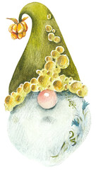 Green Forest Gnome. Set. Watercolor hand drawn illustration