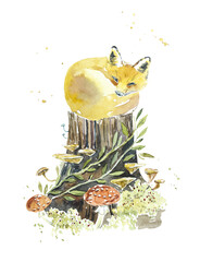 Red fox is sleeping on a fairy stump. Forest motif. Watercolor hand drawn illustration