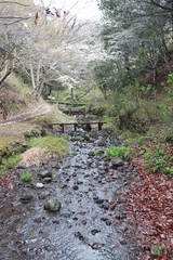 小川のせせらぎ